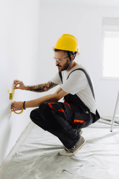 Best Repainting for Renovations  in Pocatello, ID